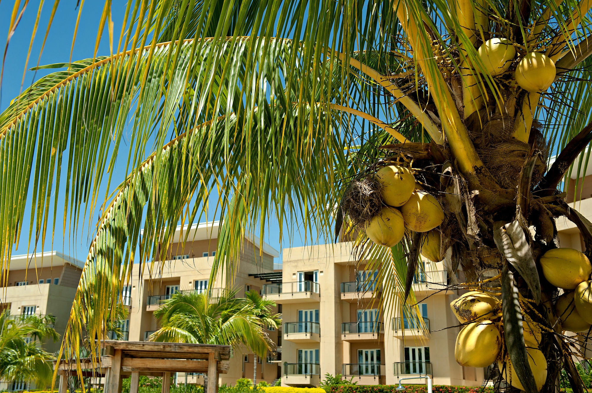 Wyndham Garden Villavicencio Rnt 26993 レストレポ エクステリア 写真